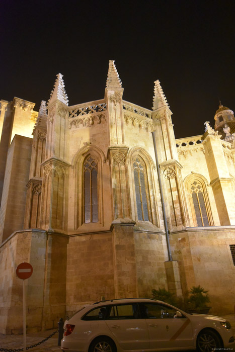 Cathedraal Tarragona / Spanje 