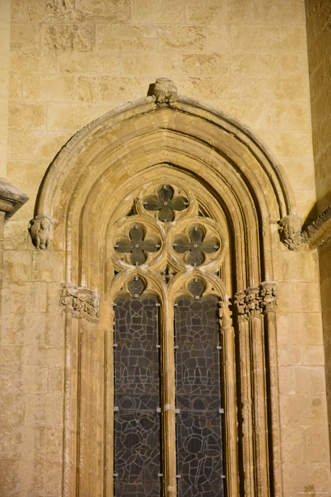 Cathedraal Tarragona / Spanje 