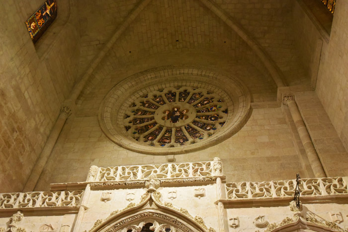 Cathedraal Tarragona / Spanje 