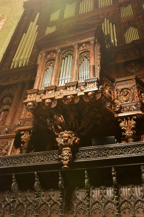 Cathedraal Tarragona / Spanje 