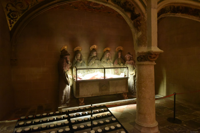 Cathedraal Tarragona / Spanje 