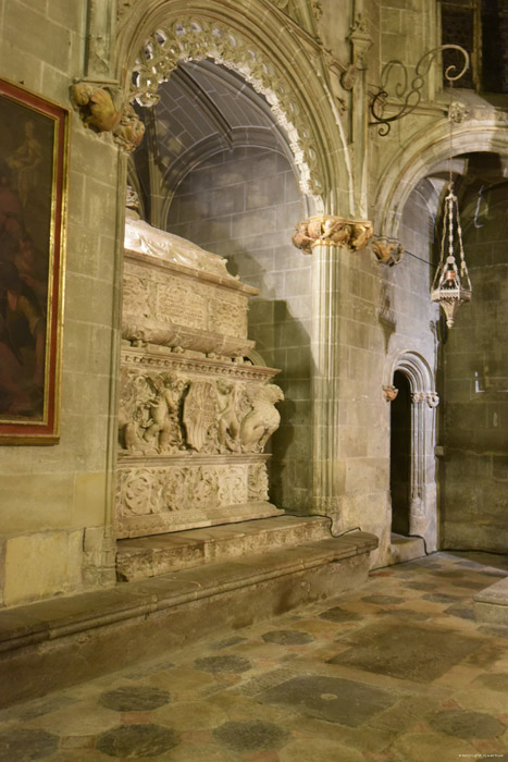 Cathedraal Tarragona / Spanje 