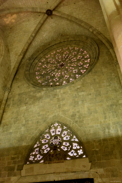 Cathedraal Tarragona / Spanje 