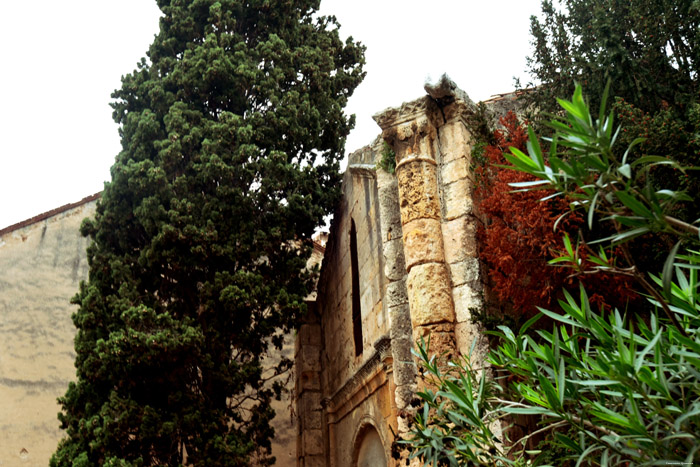 Cathedraal Tarragona / Spanje 