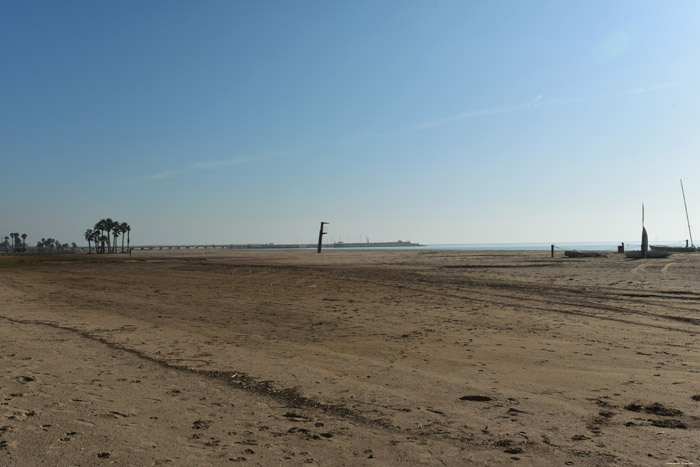 Beach with Palm Trees Coma-Ruga / Spain 