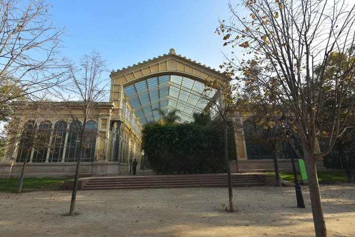 Hivernacle / Winter Garden Barcelona / Spain 
