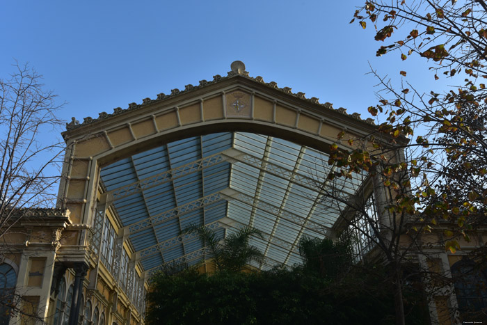 Hivernacle / Winter Garden Barcelona / Spain 