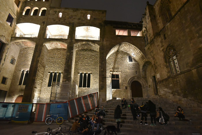 Mirador del Rei Marti Barcelona / Spanje 