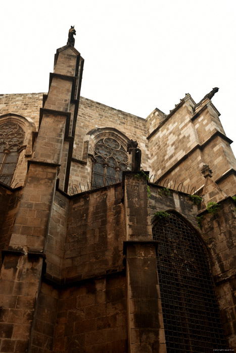 Cathdrale de la Crois Sainte Barcelona / Espagne 