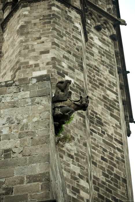 Heilig Kruiskathedraal Barcelona / Spanje 