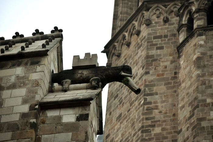 Heilig Kruiskathedraal Barcelona / Spanje 