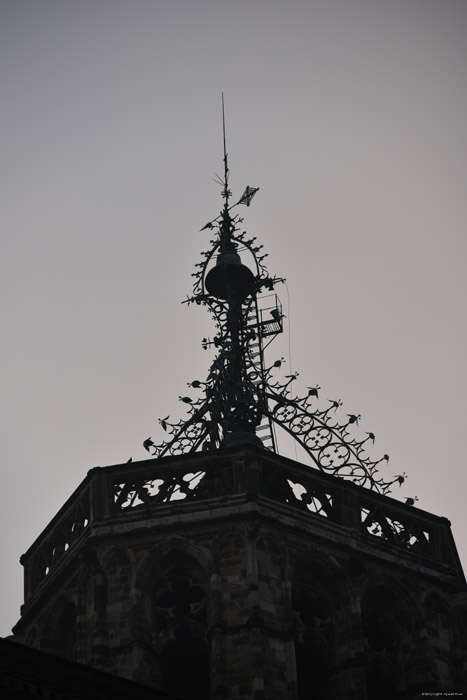 Cathdrale de la Crois Sainte Barcelona / Espagne 