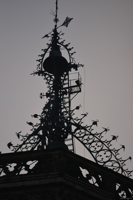 Holy Cross Cathedral (Santa Crou) Barcelona / Spain 
