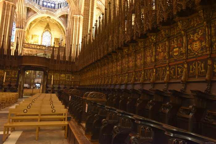 Heilig Kruiskathedraal Barcelona / Spanje 