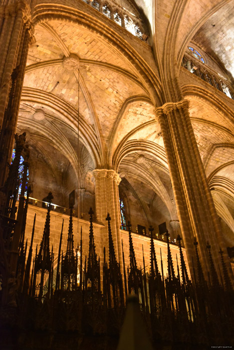 Cathdrale de la Crois Sainte Barcelona / Espagne 