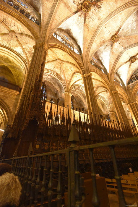 Heilig Kruiskathedraal Barcelona / Spanje 