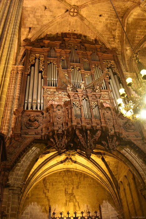 Cathdrale de la Crois Sainte Barcelona / Espagne 