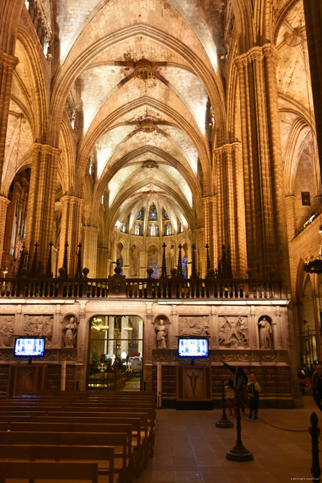 Heilig Kruiskathedraal Barcelona / Spanje 