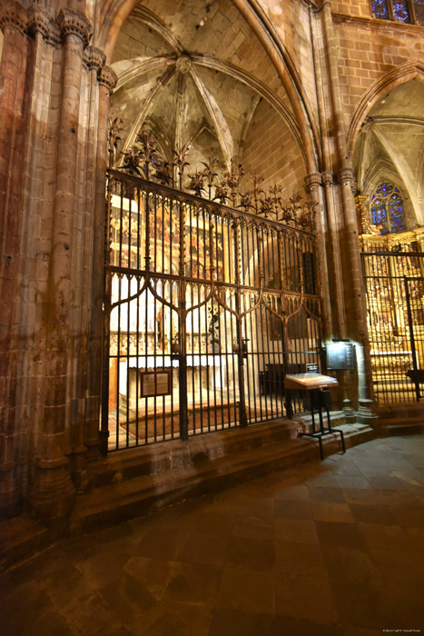 Cathdrale de la Crois Sainte Barcelona / Espagne 