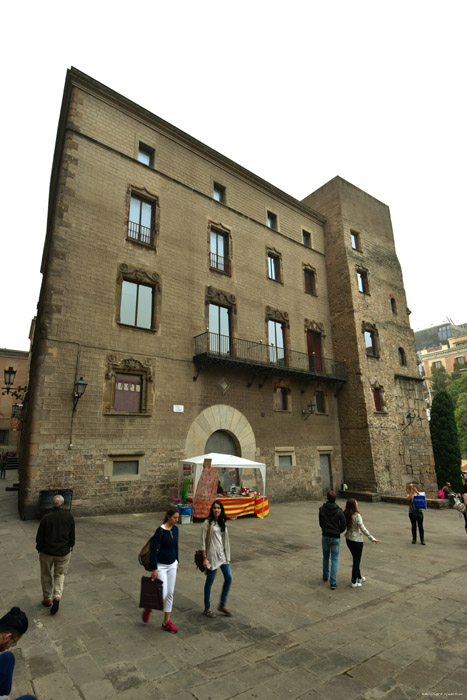 Casa del Arcendiano Barcelona / Spain 