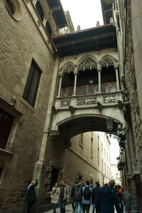 Gothic Bridge (Puente Gtico) Barcelona / Spain 