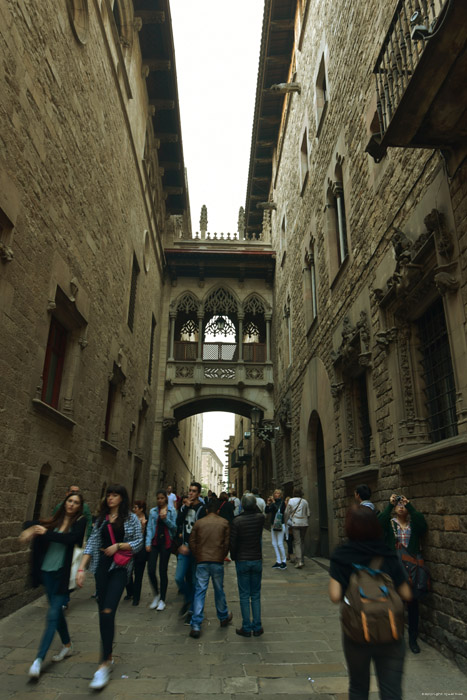 Pont Gothique Barcelona / Espagne 