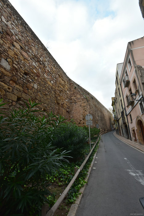 Mur Romaine - Porte Del Roser Tarragona / Espagne 