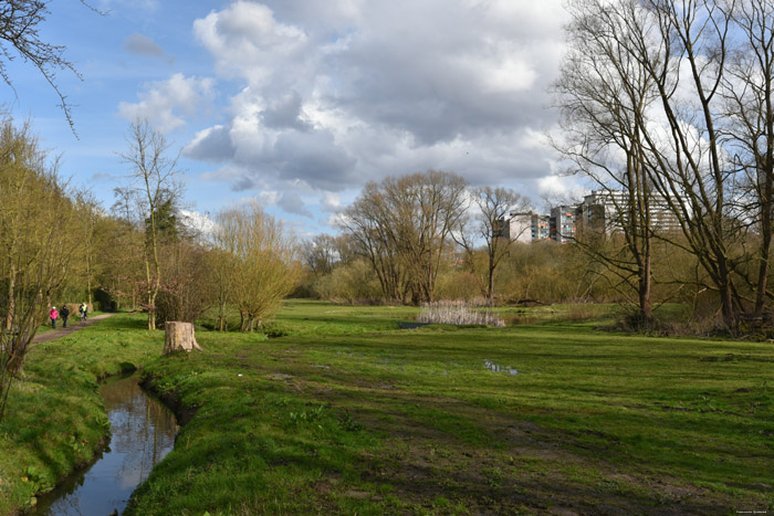 Swamp of Jette - Ganshoren and Molenbeek JETTE / BELGIUM 