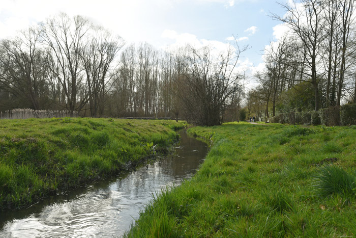 Swamp of Jette - Ganshoren and Molenbeek JETTE / BELGIUM 