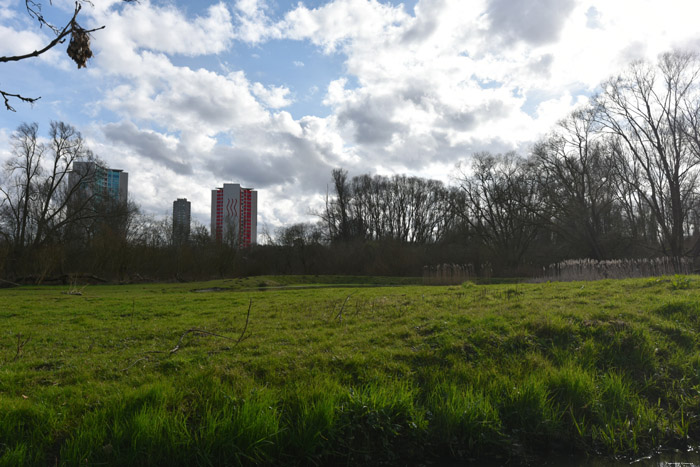 Swamp of Jette - Ganshoren and Molenbeek JETTE / BELGIUM 