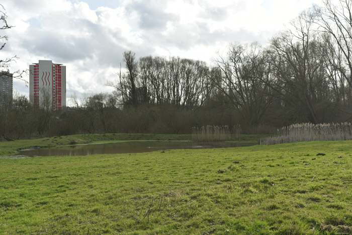 Swamp of Jette - Ganshoren and Molenbeek JETTE / BELGIUM 