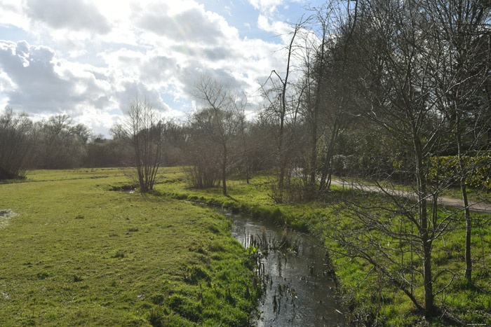 Swamp of Jette - Ganshoren and Molenbeek JETTE / BELGIUM 