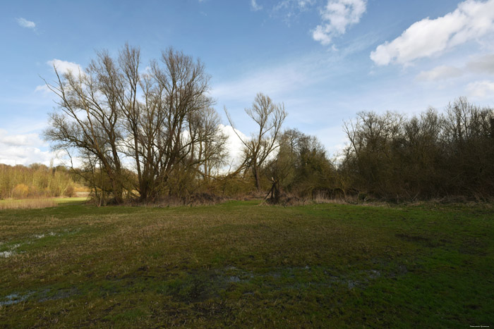 Swamp of Jette - Ganshoren and Molenbeek JETTE picture 