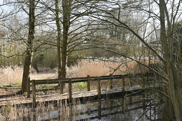 Koning Boudewijnpark Fase 3 JETTE / BELGI 