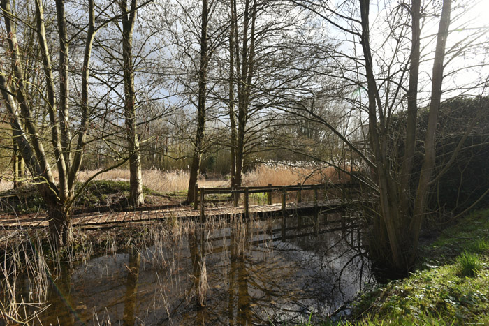 Parque de Roi Bauduoin Phase 3 JETTE / BELGIQUE 