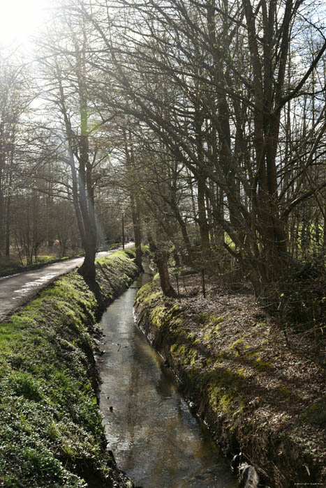 Koning Boudewijnpark Fase 3 JETTE foto 