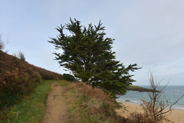 Eiland van Petit Chevret Saint Coulomb in Saint-Coulomb / FRANKRIJK 