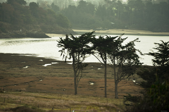 Eiland van Petit Chevret Saint Coulomb in Saint-Coulomb / FRANKRIJK 