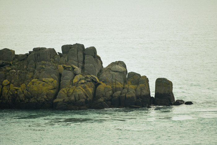 Landes Island La Broustire / FRANCE 