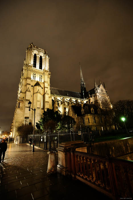 Cathdrale Notre Dame Paris / FRANCE 