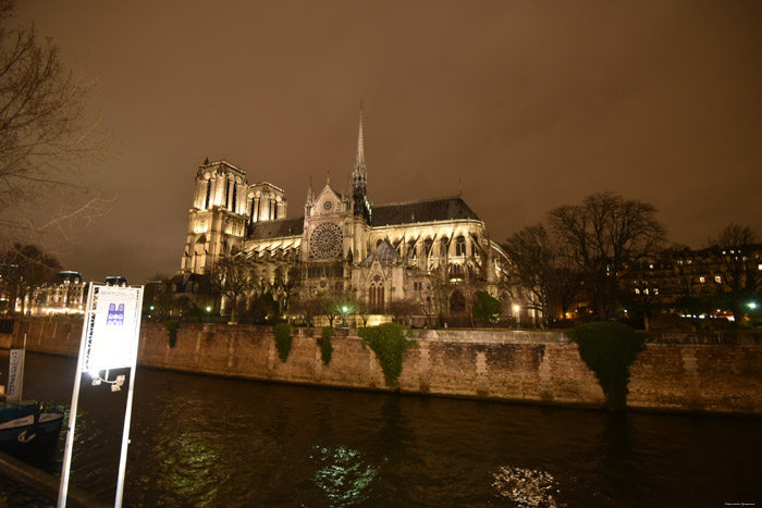 Cathdrale Notre Dame Paris / FRANCE 