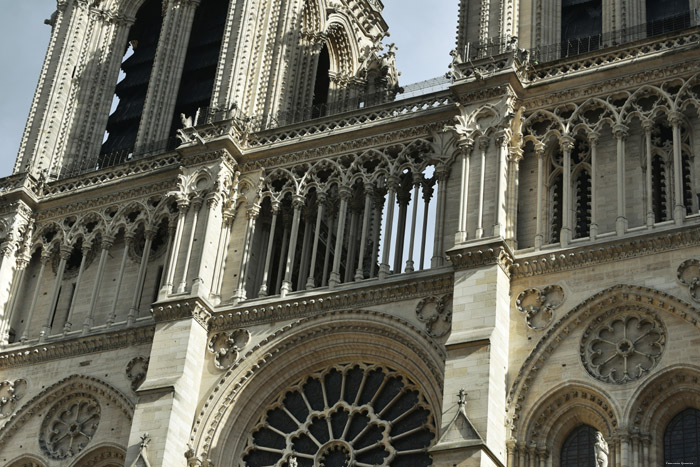 Cathdrale Notre Dame Paris / FRANCE 