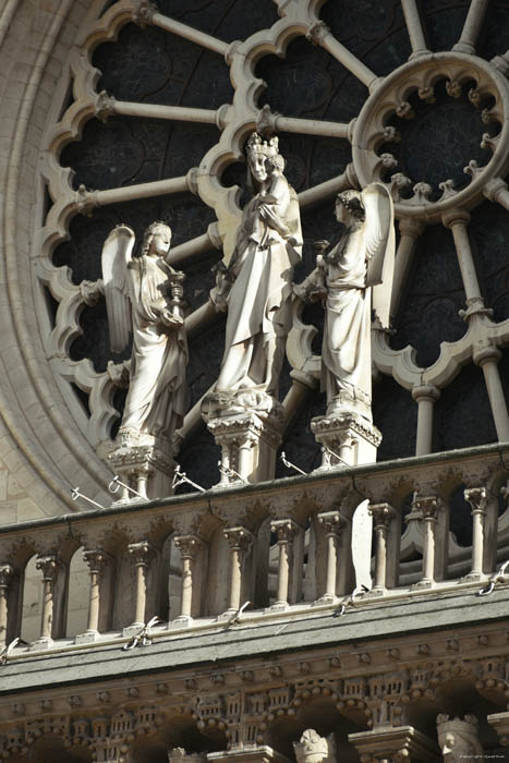 Our Ladies' Cathedral (Notre Dame) Paris / FRANCE 