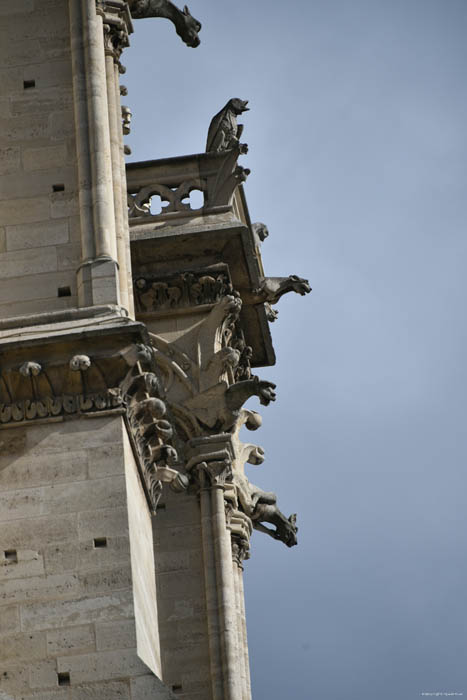 Onze-Lieve-Vrouwekathedraal (Notre Dame) Parijs in Paris / FRANKRIJK 