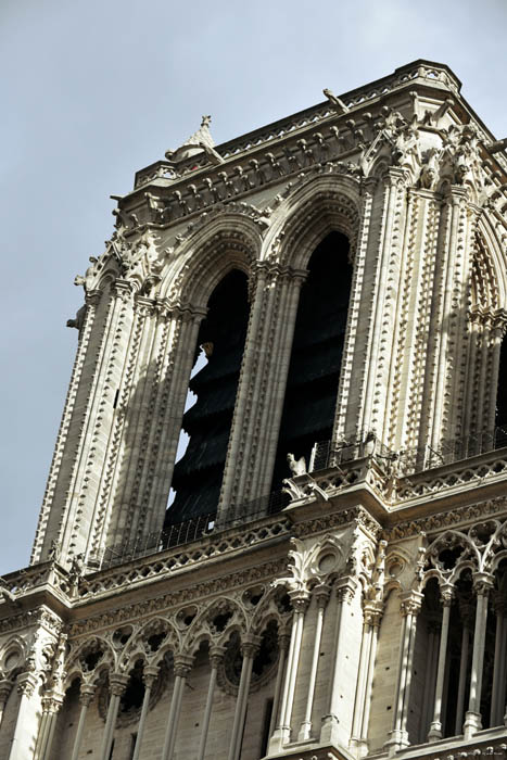 Onze-Lieve-Vrouwekathedraal (Notre Dame) Parijs in Paris / FRANKRIJK 