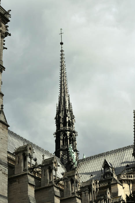 Cathdrale Notre Dame Paris / FRANCE 