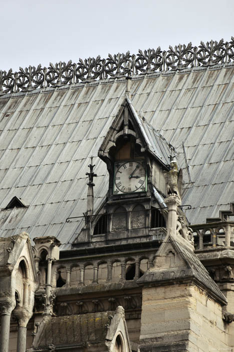 Cathdrale Notre Dame Paris / FRANCE 