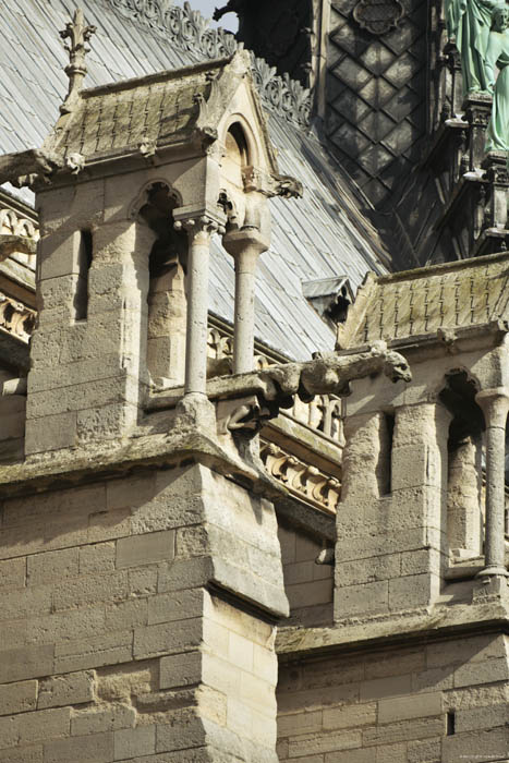 Cathdrale Notre Dame Paris / FRANCE 