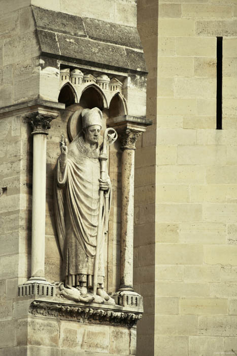 Onze-Lieve-Vrouwekathedraal (Notre Dame) Parijs in Paris / FRANKRIJK 