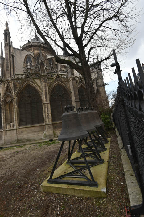 Cathdrale Notre Dame Paris / FRANCE 